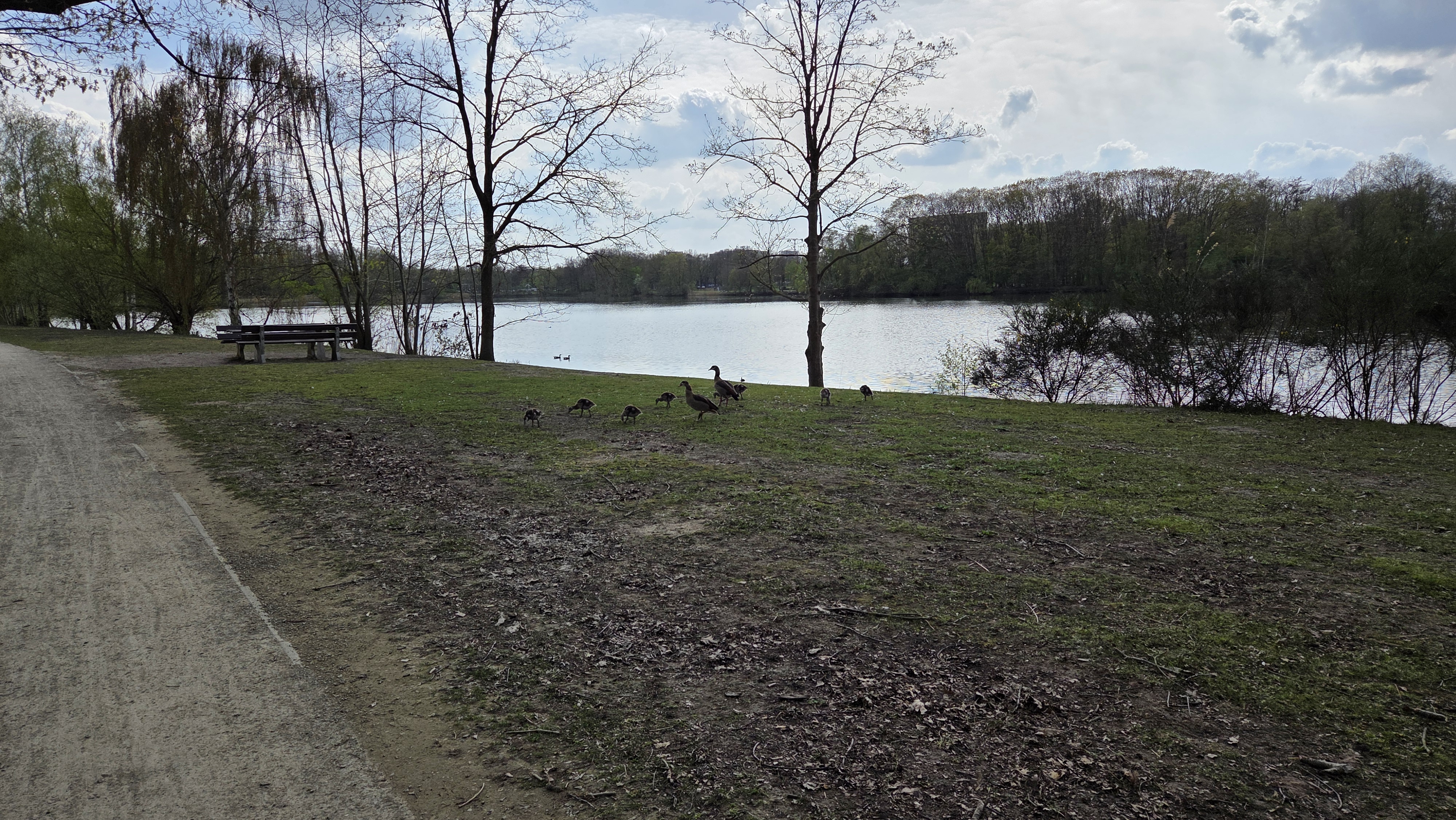 Karpendonkse plas, halte 6